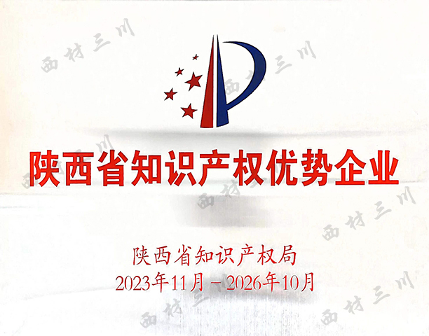 陜西省知識產(chǎn)權(quán)優(yōu)勢企業(yè).jpg